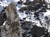 37 ancora un camoscio